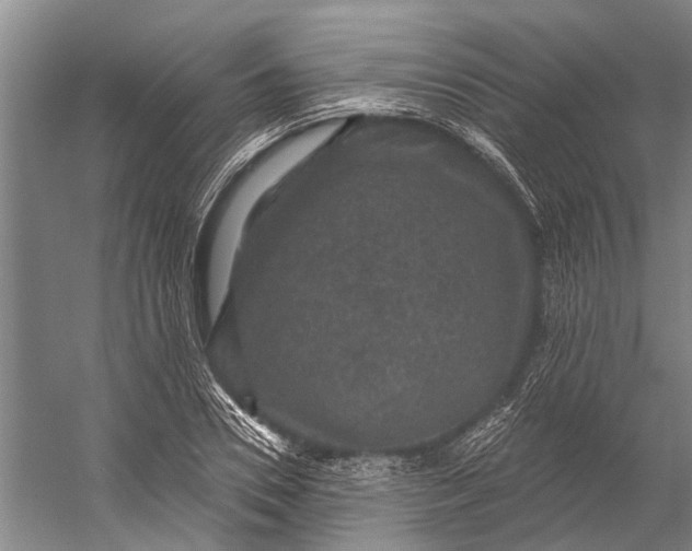 X0000056350930200509161758