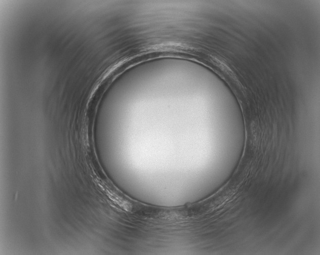 X0000056350931200509161758