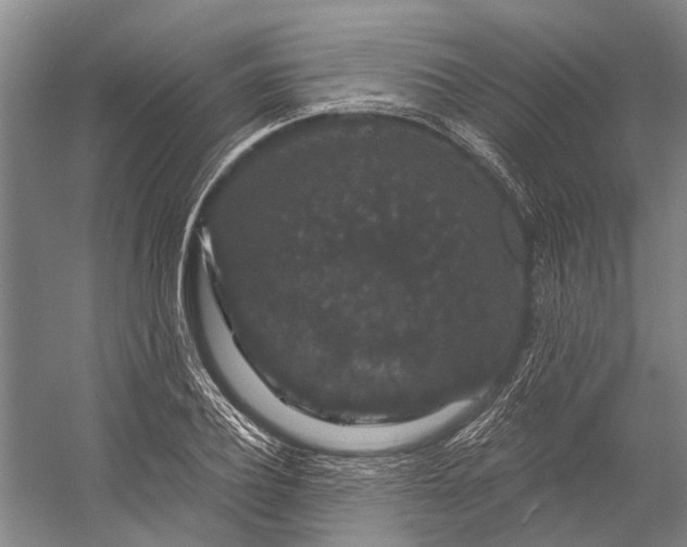 X0000056350932200509161758