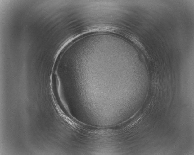 X0000056350936200509161758