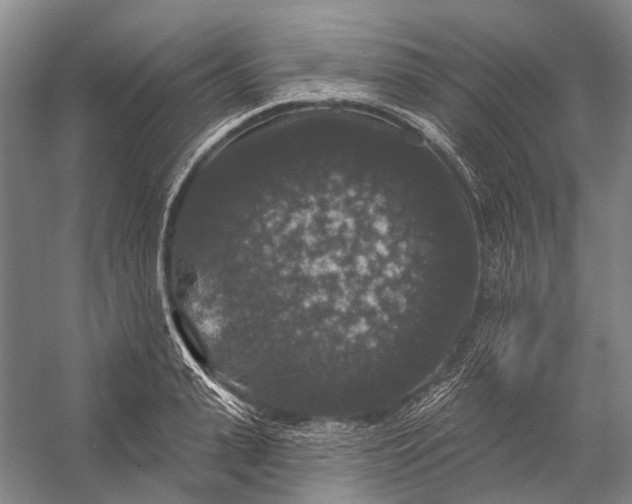 X0000056350943200509161758