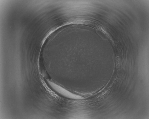 X0000056350944200509161758