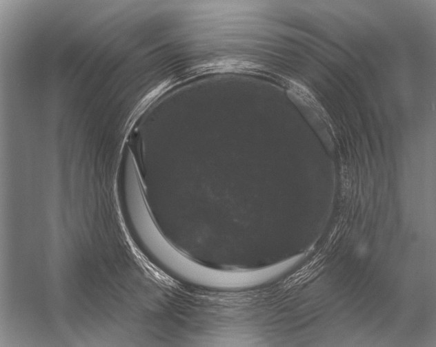 X0000056350946200509161758