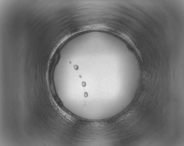 X0000056350947200509161758