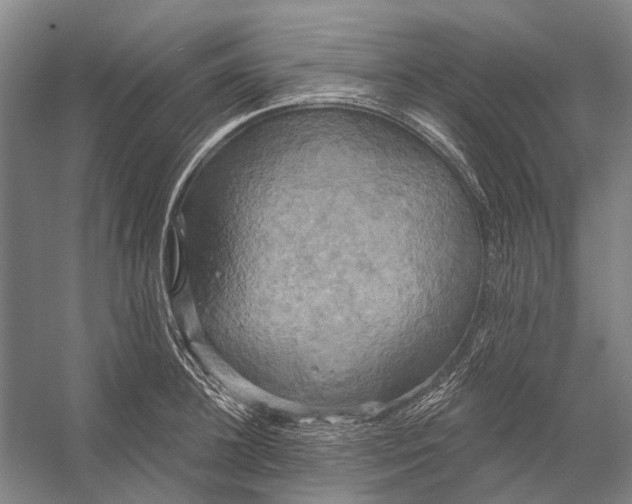 X0000056350948200509161758