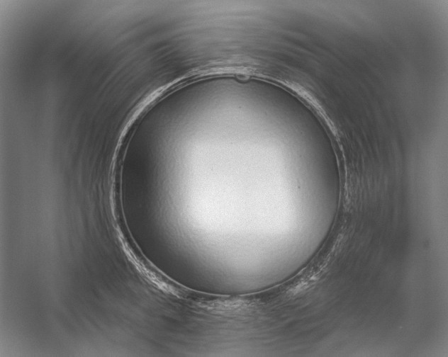 X0000056350949200509161758