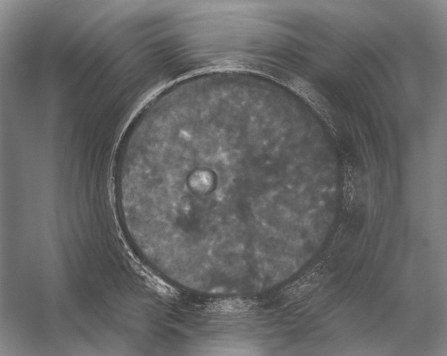 X0000056350950200509161758