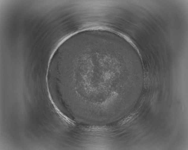 X0000056350951200509161758