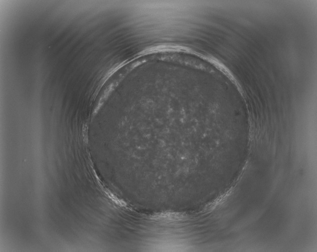 X0000056350953200509161758