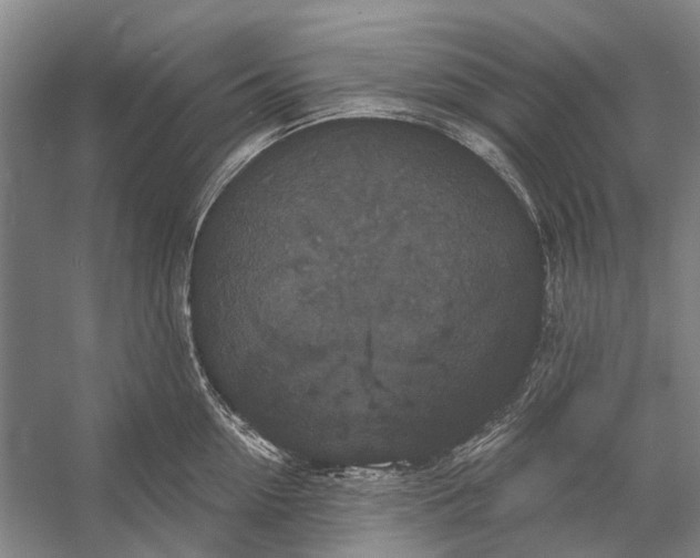 X0000056350954200509161758