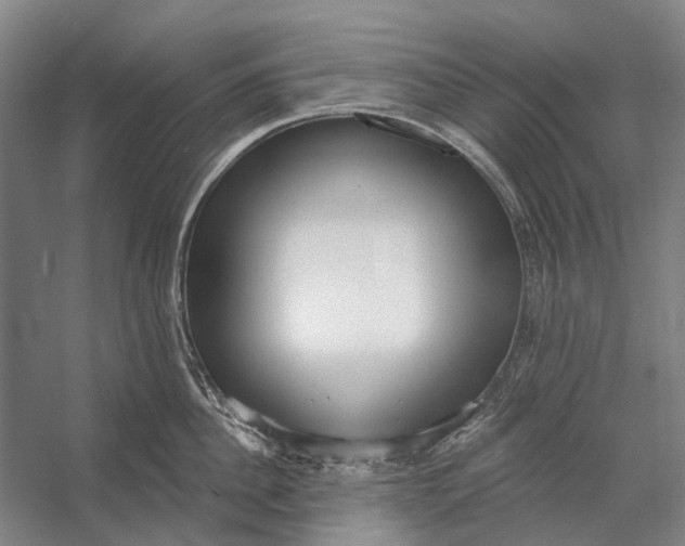 X0000056350956200509161758