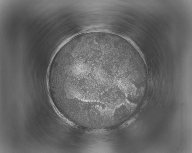 X0000056350957200509161758