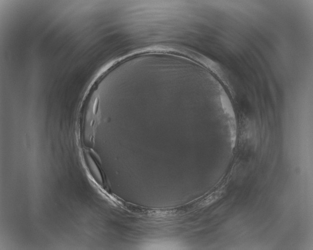 X0000056350958200509161758