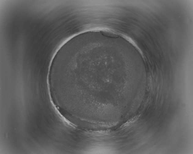 X0000056350959200509161758