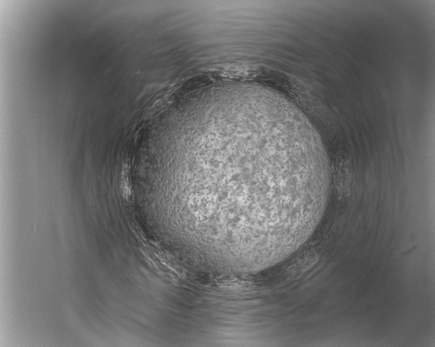 X0000056350962200509161758