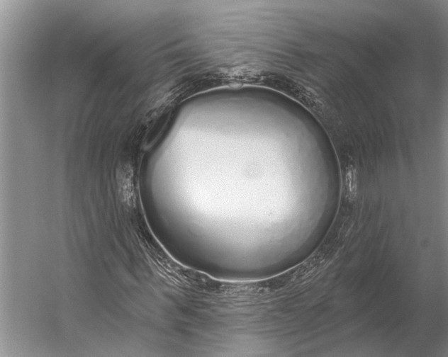 X0000056350963200509161758