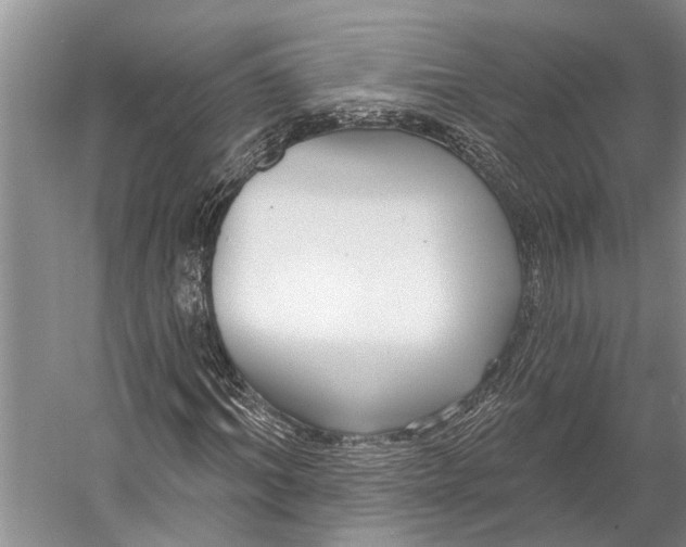 X0000056350964200509161758