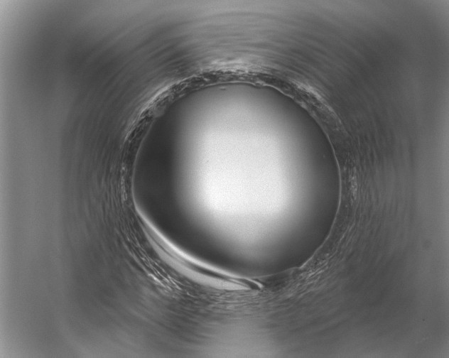 X0000056350968200509161757