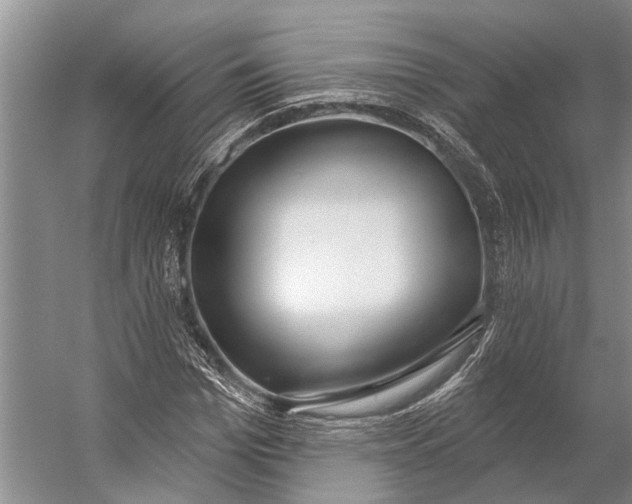 X0000056350969200509161757