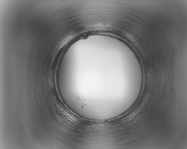 X0000056350970200509161757