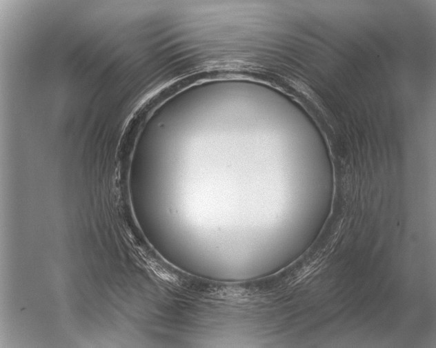 X0000056350971200509161757