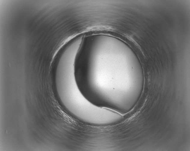 X0000056350973200509161757