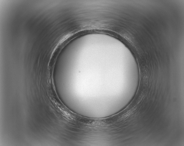 X0000056350974200509161757