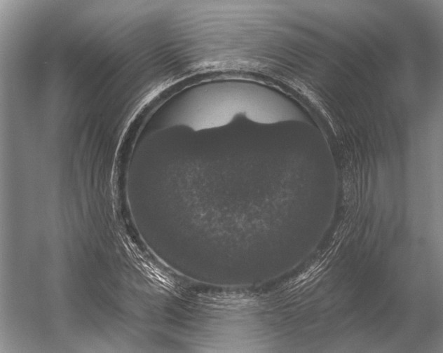 X0000056350975200509161757