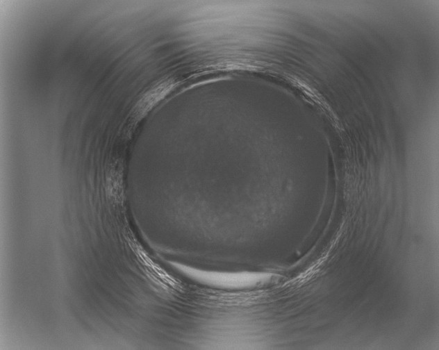 X0000056350977200509161757