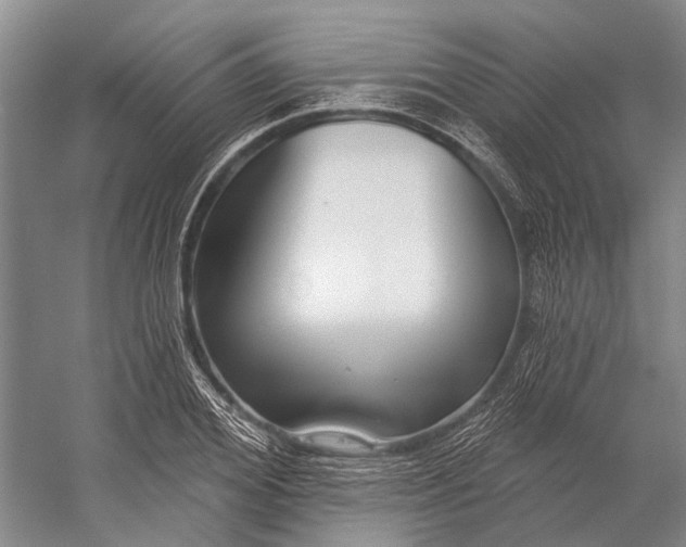 X0000056350980200509161757