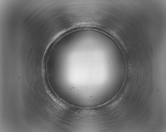 X0000056350981200509161757