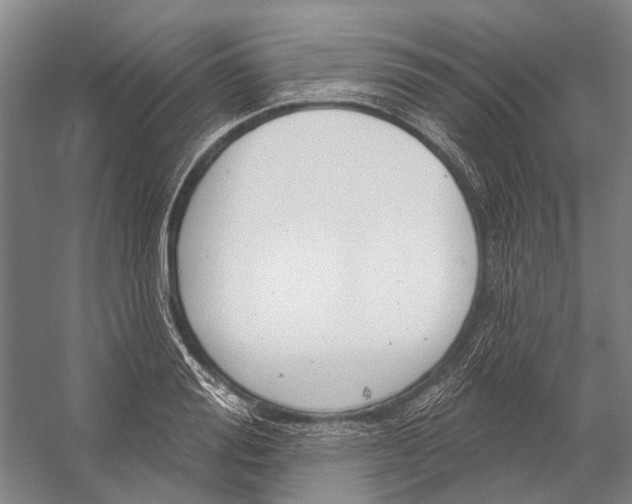 X0000056350988200509161757