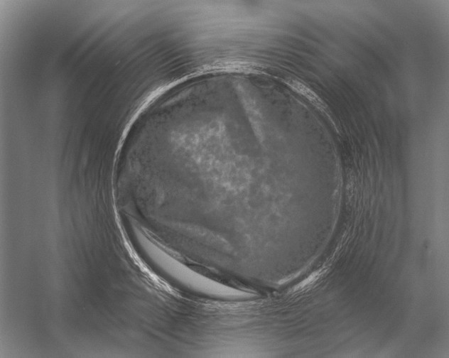 X0000056350989200509161757