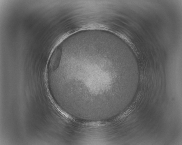 X0000056350990200509161757