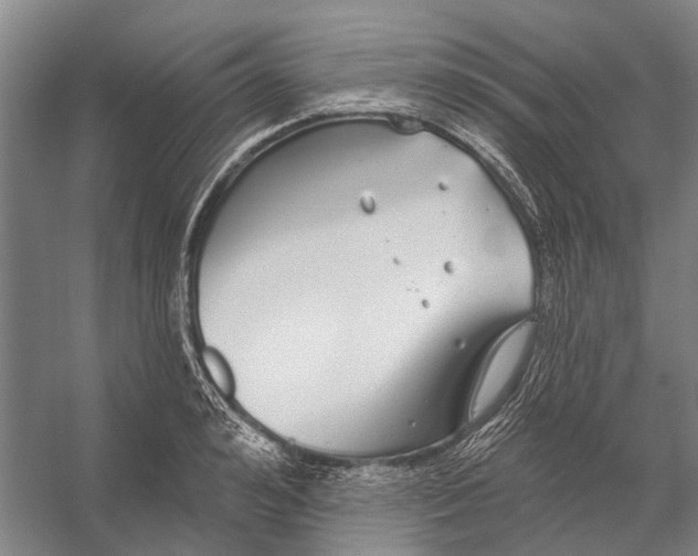 X0000056350992200509161757