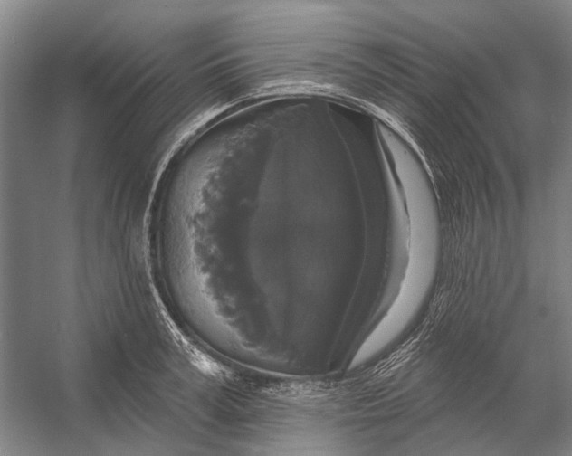 X0000056350995200509161757