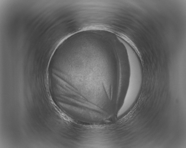 X0000056350996200509161757