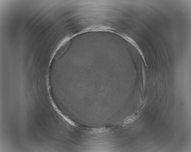 X0000056350997200509161757