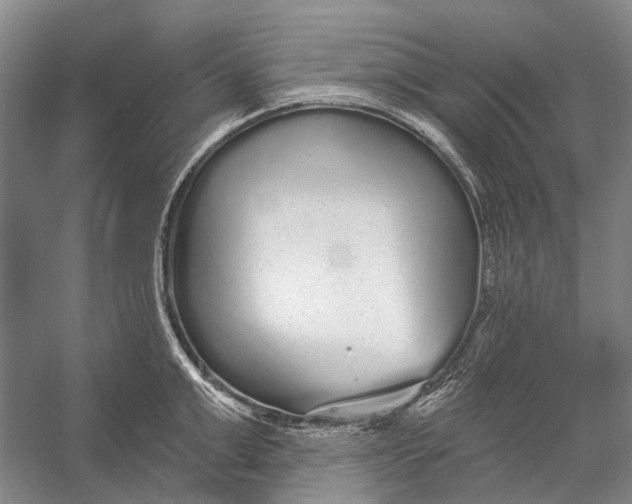 X0000056350999200509161757