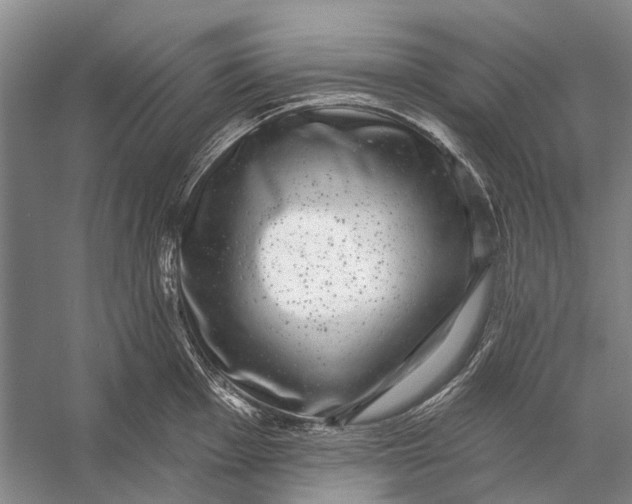 X0000056351001200509161757