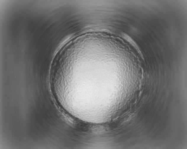 X0000056351002200509161757