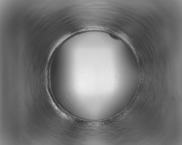 X0000056351003200509161757