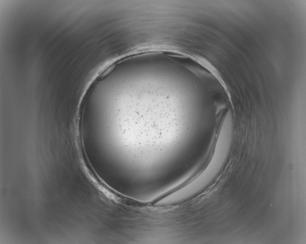 X0000056351005200509161757