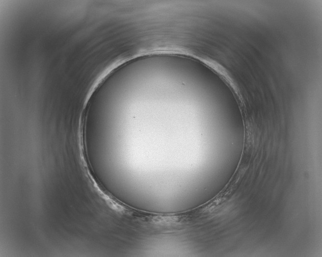 X0000056351006200509161757