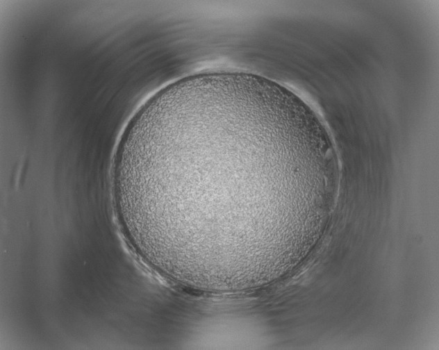 X0000056351008200509161757