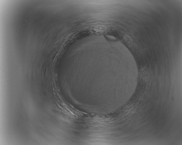 X0000056351009200509161756