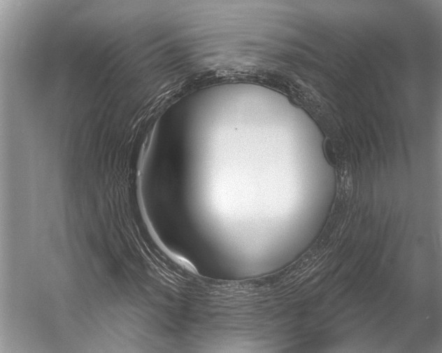 X0000056351012200509161756