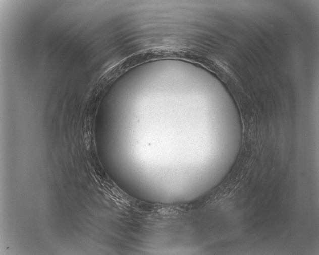 X0000056351015200509161756