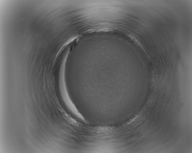 X0000056351018200509161756