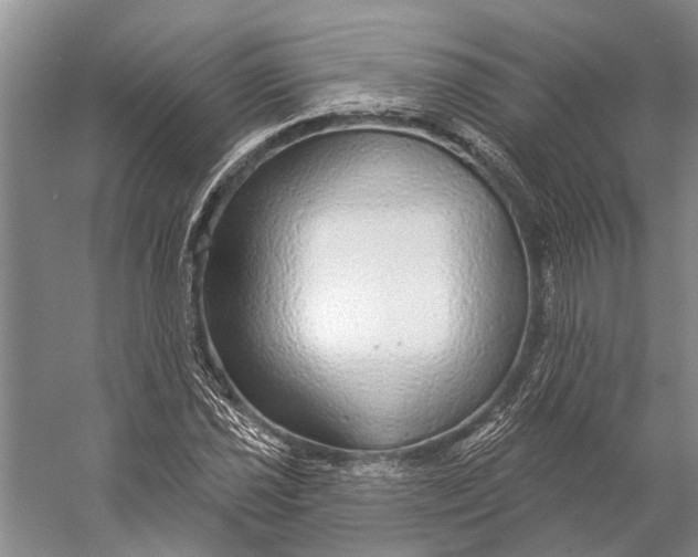 X0000056351021200509161756